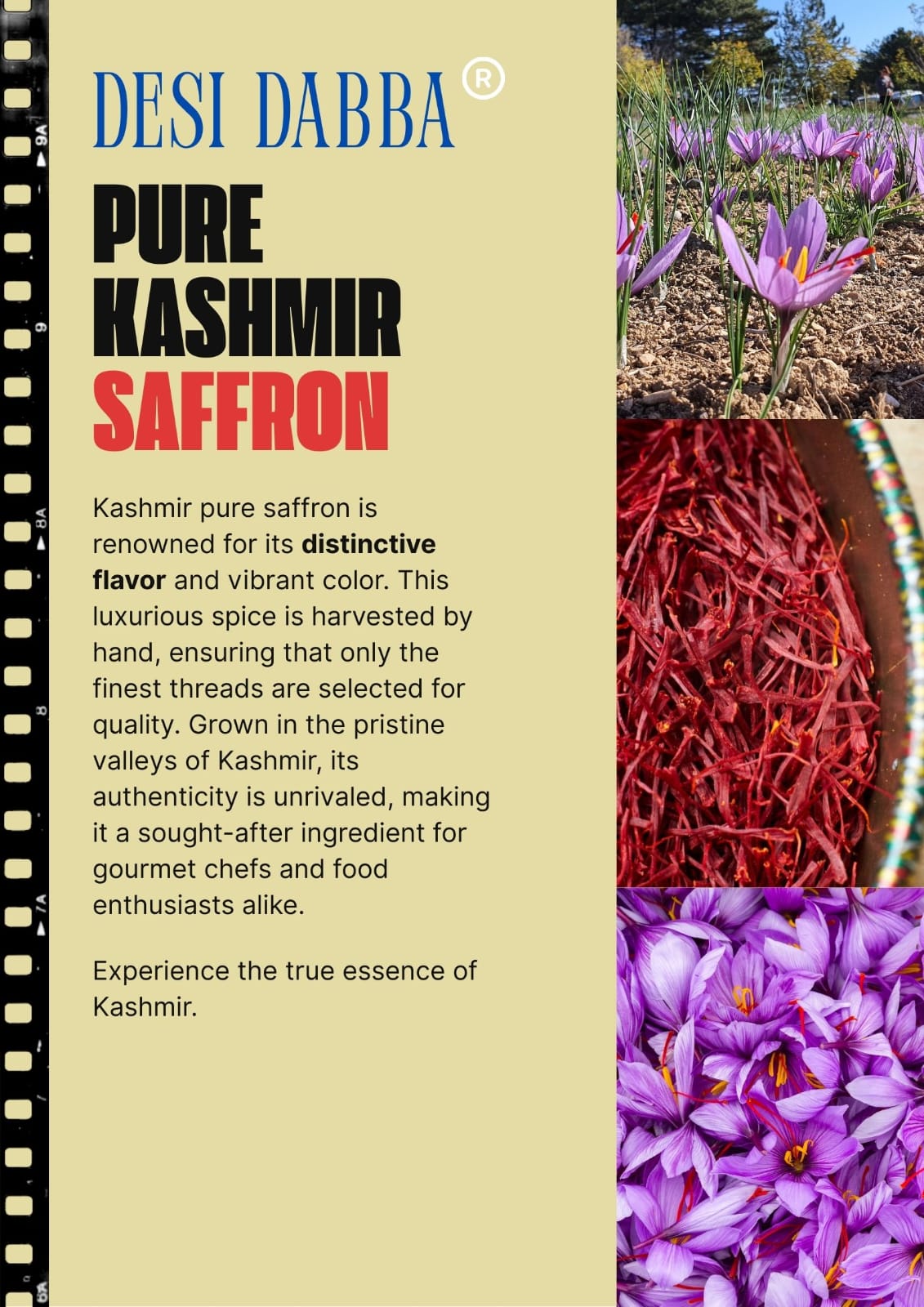 Desi Dabba Kashmir Saffron (Kesar)